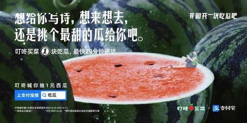 娱乐吃瓜文案怎么弄的,揭秘娱乐吃瓜文案背后的创作技巧与热点追踪